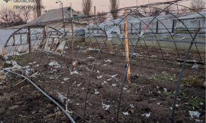 Фото: возбуждено дело из-за обстрела Трехизбенки в Луганской области