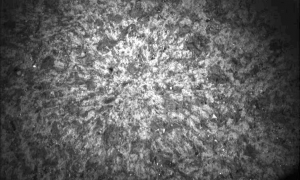 Фото: марсоход Perseverance добыл новые образцы камня на Марсе