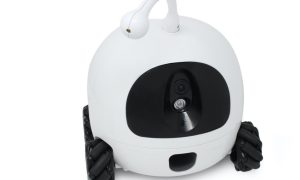 У США створили робота, який розважає домашніх тварин