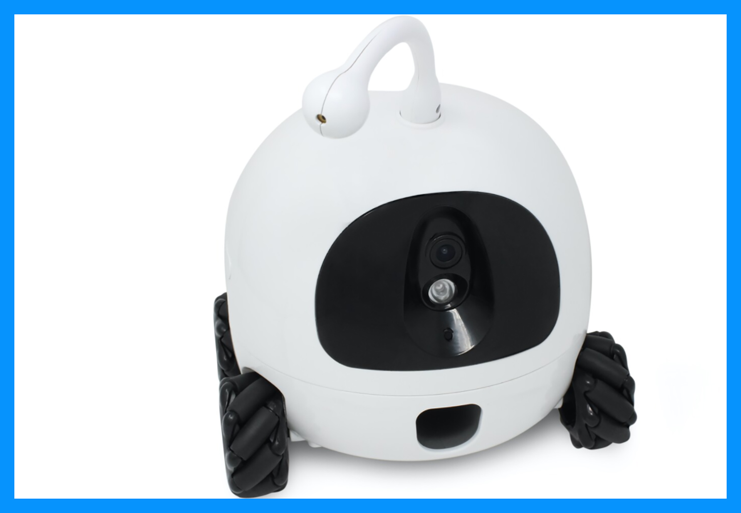 У США створили робота, який розважає домашніх тварин