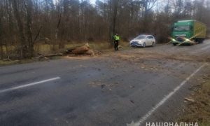 Фото: Черниговщиной  пронесся ураган, повалив деревья