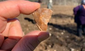 На берегу шотландской реки нашли сотни каменных артефактов