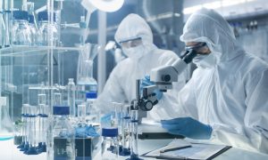 Японским ученым удалось вакциной уничтожить ВИЧ в организме обезьян