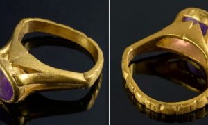 Драгоценное лекарство. На раскопках в Израиле нашли необычное средство от похмелья