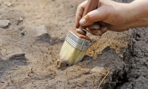Времен Колумба. Археологи нашли самую старую английскую монету в Канаде