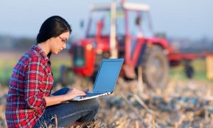 В Минцифре рассказали, когда покроют интернетом все украинские села