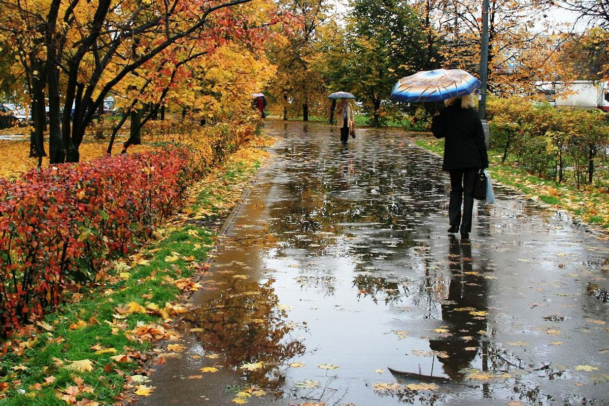 В Україні в суботу буде доволі тепло, на півдні до 20-24°, місцями дощі