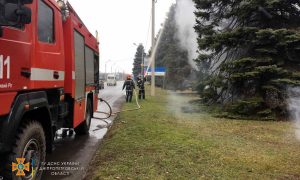 Видео: пенсионерка сожгла елку возле горсовета Кривого Рога