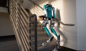 Первые в мире «живые роботы» научились размножаться неизвестным науке способом. Что это даст человечеству?