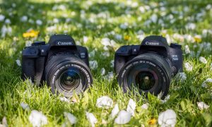 Фотореволюция. Canon начнет выпускать камеры, которые будут делать цветные снимки высокого качества даже в полной темноте