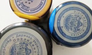 Фото: задержан «президент Украины», сформировавший теневое правительство