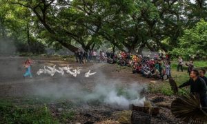 Як китайці розвивають фейк-туризм
