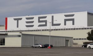 Tesla раскритиковали в США из-за открытия автосалона в уйгурском районе Китая