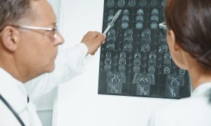 Ученые рассказали об отличиях в работе мозга в зависимости от пола