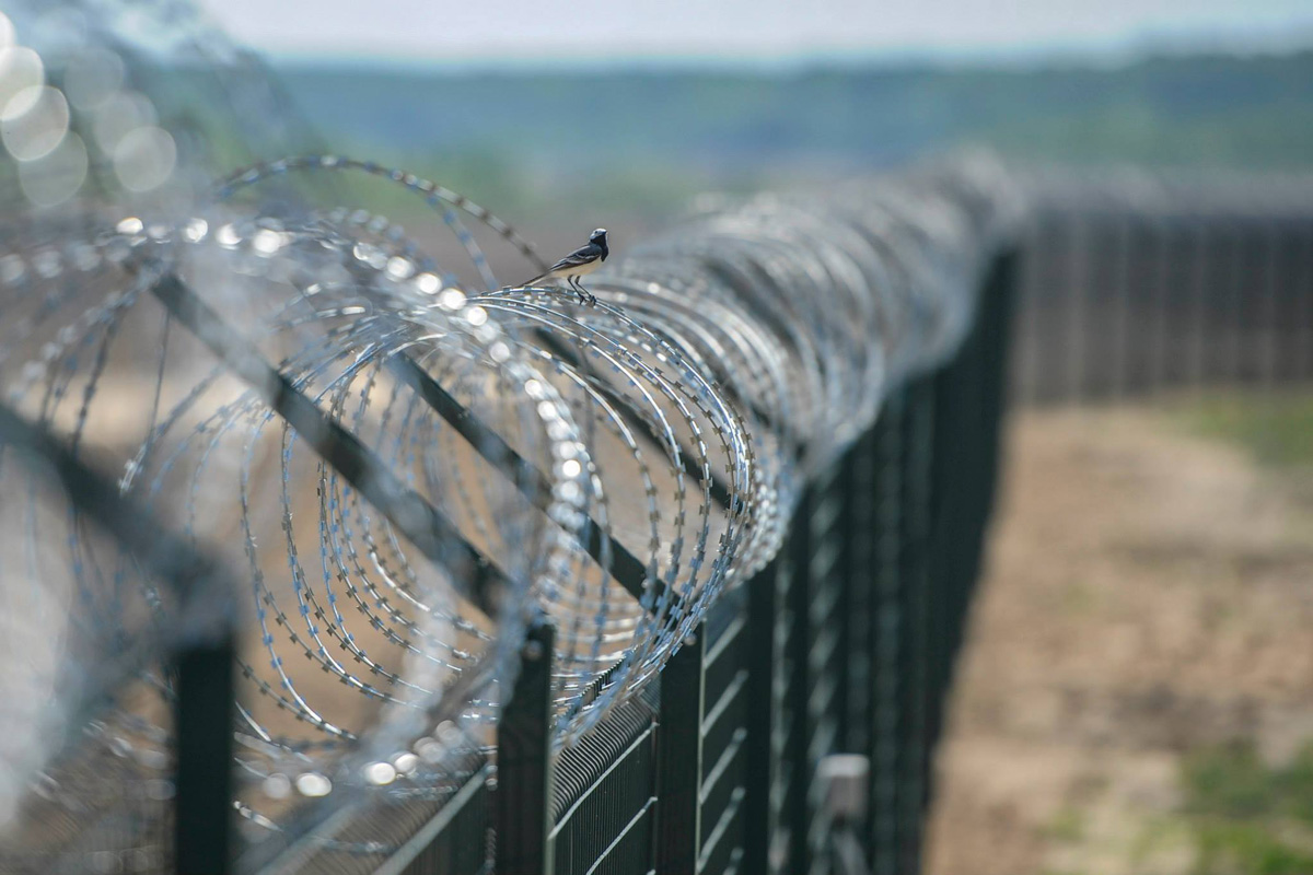 Прикордонники направили колючий дріт для стіни на кордоні з Білоруссю