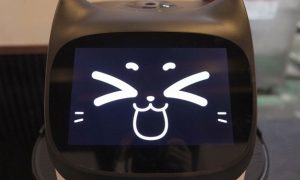 В Японии робот-котик помогает ресторану справиться с нехваткой рабочей силы