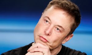 Подвергали животных страданиям. На Neuralink Маска подали в суд