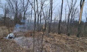 Фото: на Київщині авіація знищила ворожу ракету