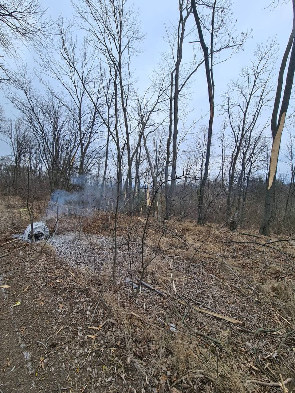 Фото: на Київщині авіація знищила ворожу ракету