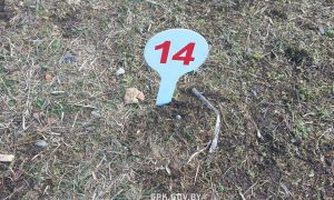 У Білорусі заявили про обстріл з боку Польщі