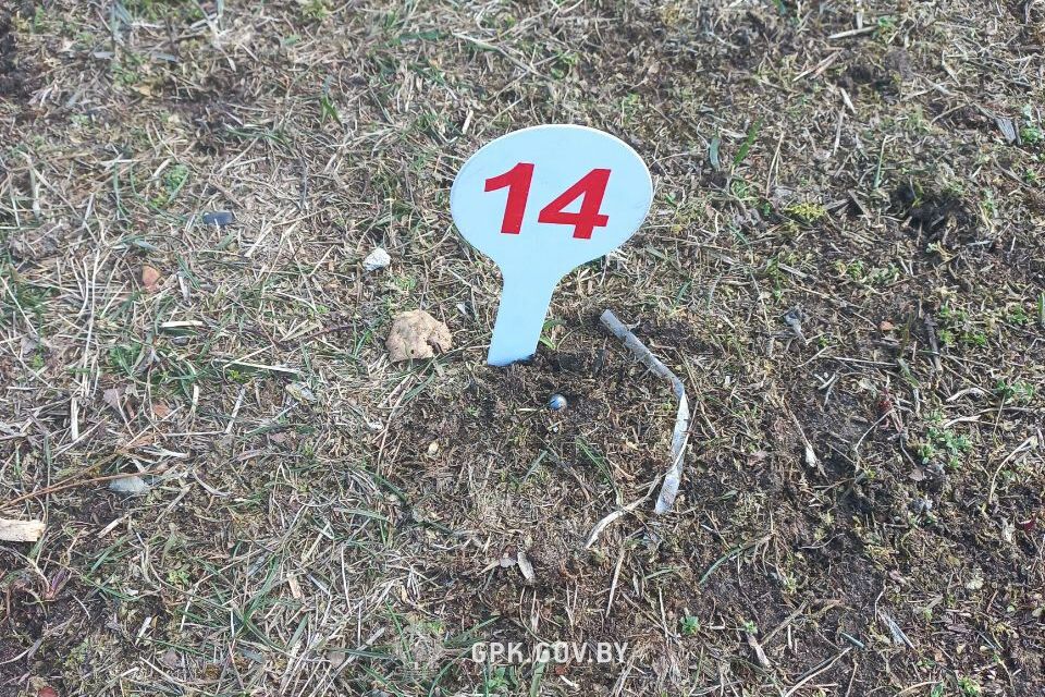 У Білорусі заявили про обстріл з боку Польщі