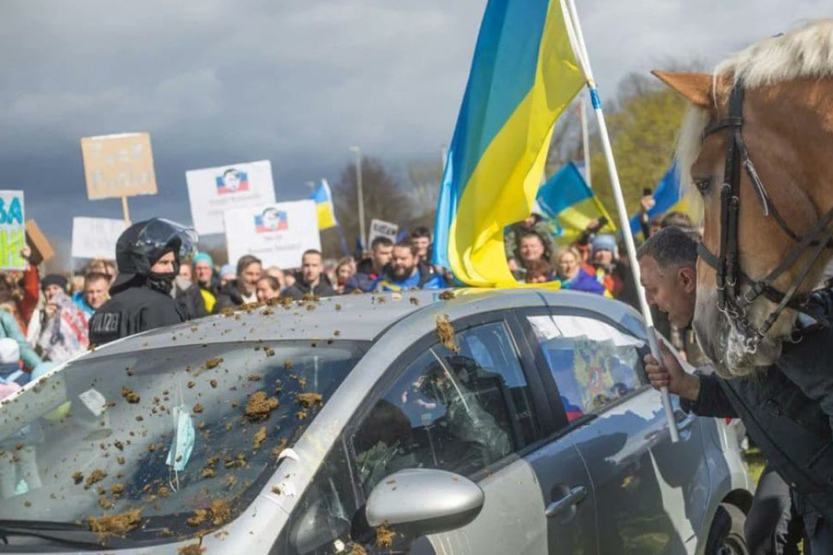 Відео: в Німеччині учасників проросійського автопробігу закидали кінським гноєм