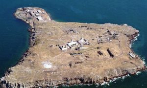 Из плена вызволили десятки легендарных защитников острова Змеиный