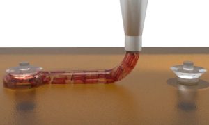 В Гарварде ученые напечатали кусочек сердца, умеющий сокращаться (видео)