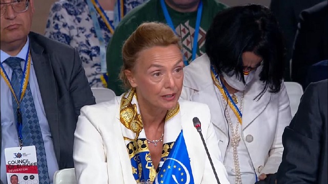 Рада Європи відреагувала на ратифікацію Києвом Стамбульської конвенції