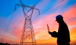 Электронные аукционы: рекордные цены на экспорт