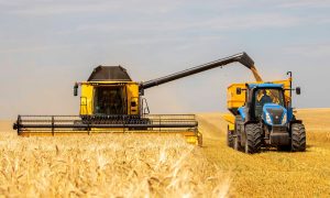 Подсчитаны непрямые потери аграрного сектора из-за войны