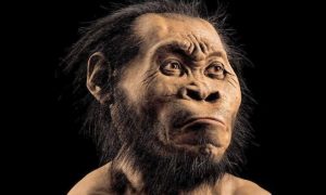 В Испании найдена кость, принадлежавшая предку современных людей