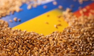 Экспорт зерна из Украины: в Мининфраструктуры рассказали, сколько судов готово к отправке