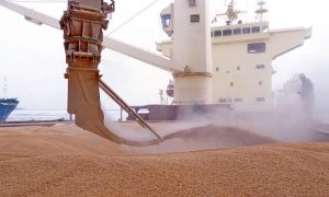 План ООН щодо експорту українського зерна: «хороший і об'єктивний»