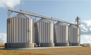 В условиях войны: в Украине назревает дефицит зернохранилищ до 15 млн тонн