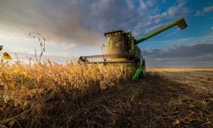 Проект поддержки украинских аграриев: ООН предоставит $17 млн