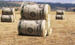 За полтора месяца украинские аграрии получили более ₴9 миллиарда кредитов