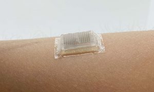 Американские инженеры представили УЗИ-пластырь для быстрой диагностики организма