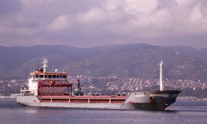 «Зерновой коридор»: судно с украинской кукурузой прибыло в порт Турции