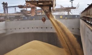 «Зерновой коридор»: Украина и рф согласовали гарантии безопасности для судов