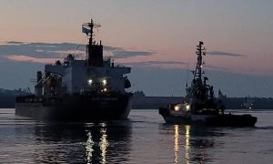 Фото: в Африку вышел корабль с украинским зерном