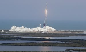 В следующем году в космос отправят первую теплицу