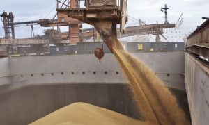 Минагрополитики: По «зерновому коридору» уже вывезли около 720 000 тонн продовольствия