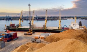 Посол рассказал, сколько судов перевозят украденное зерно из Украины