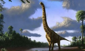 В Португалии нашли останки самого большого динозавра в Европе