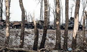 Агрессия россии нанесла урон природе Украины почти на 400 миллиардов