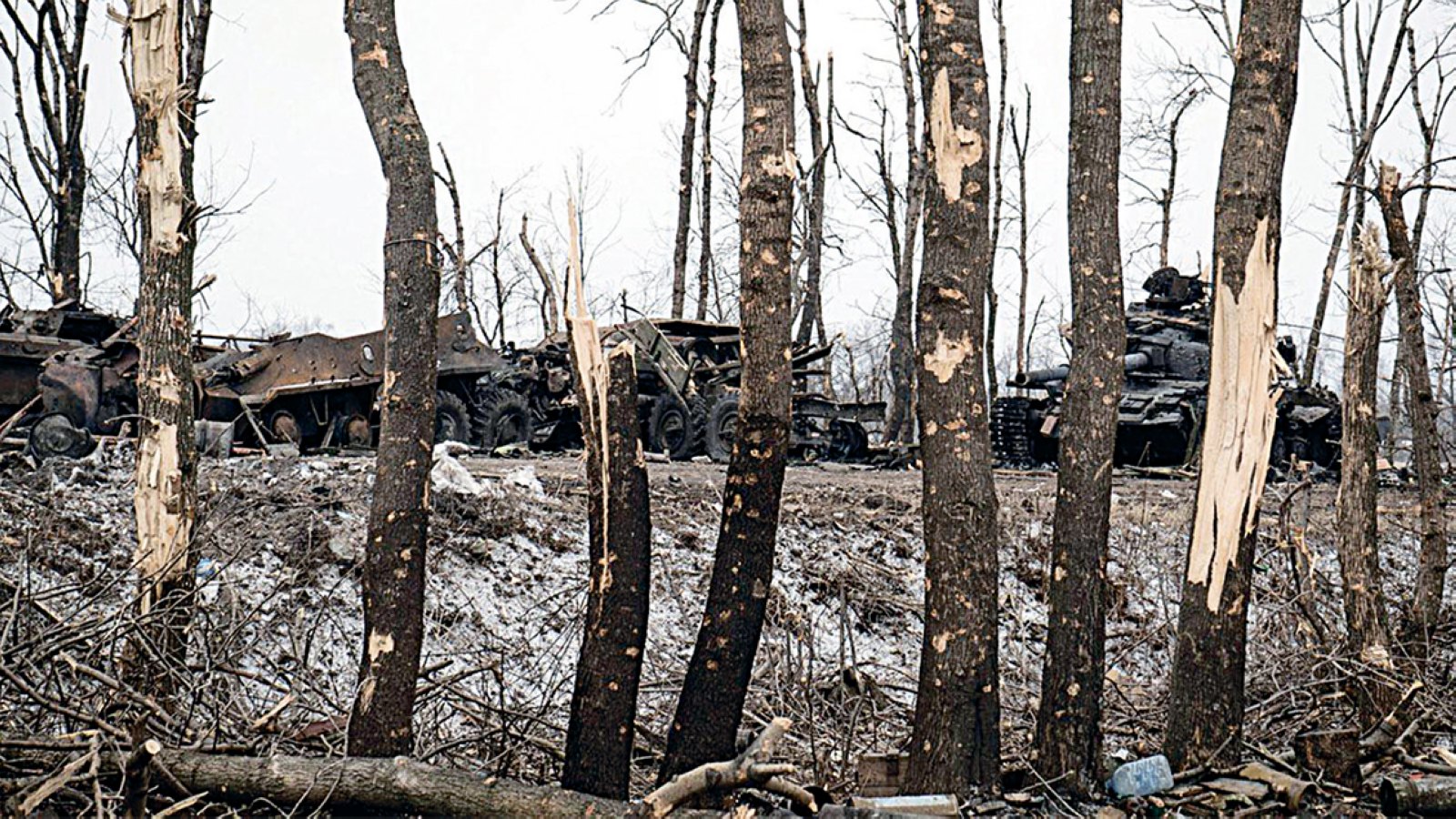 Агрессия россии нанесла урон природе Украины почти на 400 миллиардов