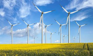 Страны Балтийского моря договорились увеличить мощности энергии ветра в 7 раз к 2030 году