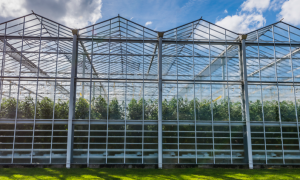 еРабота: государство выдало первые гранты – кто получил