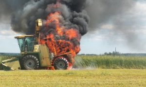 Отбросила на годы: как война отразилась на сельском хозяйстве Украины